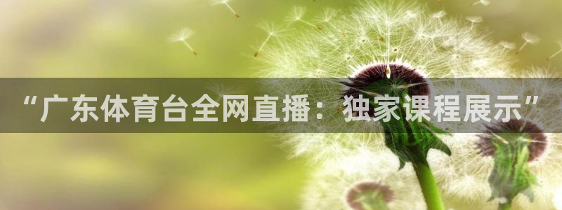 nba直播24直播网