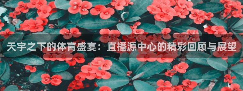 足球直播24直播网在线