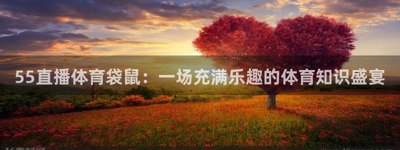 24直播网体育在线直播nba