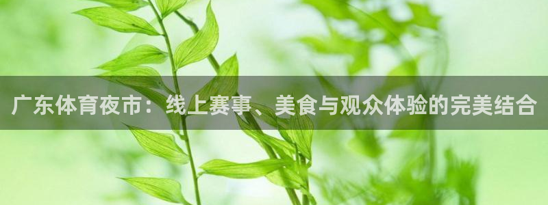 24直播网体育在线直播nba：广东体育夜市：线上赛事、美食与观众体验的完美结合