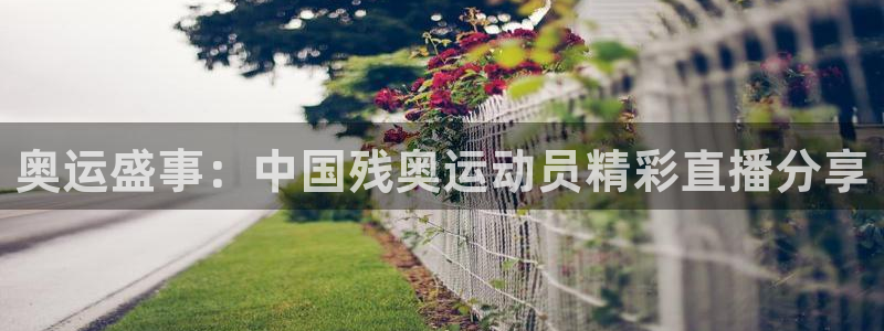 24直播网：奥运盛事：中国残奥运动员精彩直播分享