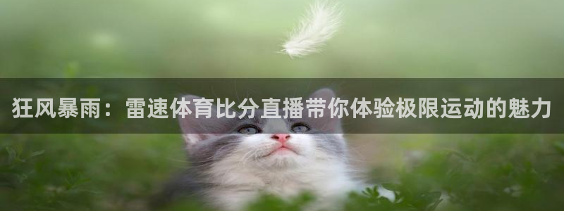 24直播网体育在线直播：狂风暴雨：雷速体育比分直播带你体验极限运动的魅力