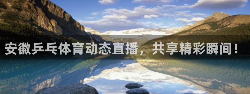 24直播免费篮球球直播：安徽乒乓体育动态直播，共享精彩瞬间！