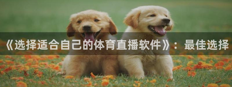 24直播网体育在线观看：《选择适合自己的体育直播软件》：最佳选择
