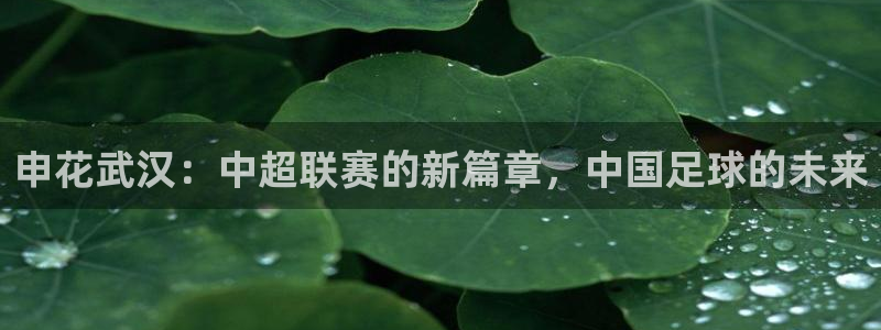 24直播网体育直播高清