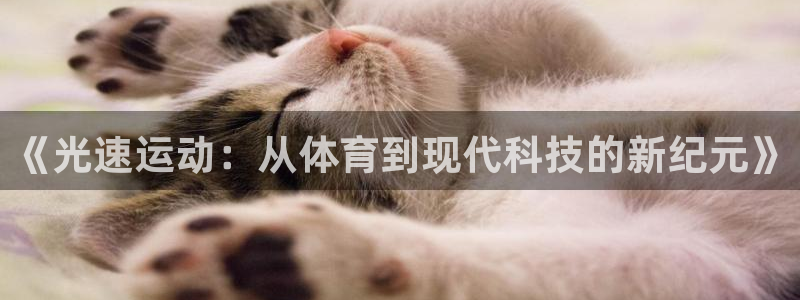 24直播篮球网