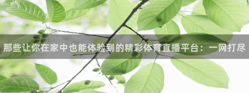 24直播体育免费直播app
