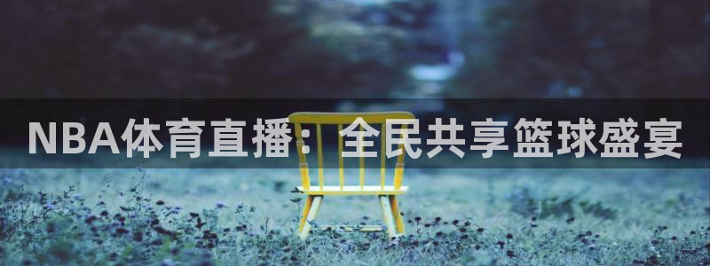 24直播官网：NBA体育直播：全民共享篮球盛宴